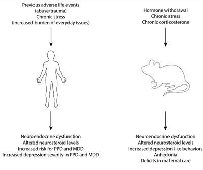 Neuroactive Steroids and GABAergic Involvement in the Neuroendocrine Dysfunction Associated With Major Depressive Disorder and Postpartum Depression